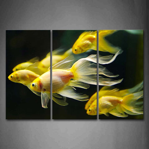 Group Of Golden Fish In Black Background Wall Art Painting Pictures Print On Canvas Animal The Picture For Home Modern Decoration 