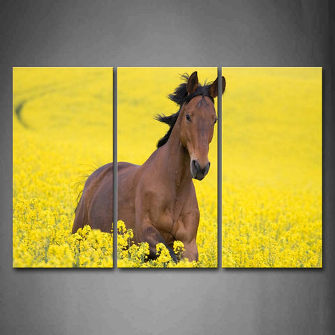 Brown Horse Running In Yellow Flower Wall Art Painting The Picture Print On Canvas Animal Pictures For Home Decor Decoration Gift 