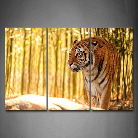 Tiger Walk In Forest Rock Wall Art Painting The Picture Print On Canvas Animal Pictures For Home Decor Decoration Gift 