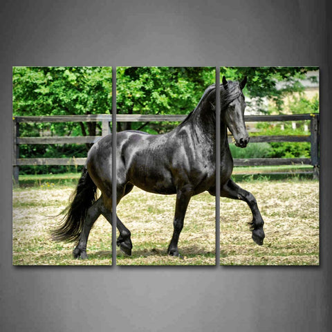 Black Horse Run Pasture Wall Art Painting Pictures Print On Canvas Animal The Picture For Home Modern Decoration 