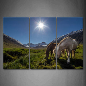 Two Hrse Eating Grass On Lawn Mountain Bright Sun Wall Art Painting The Picture Print On Canvas Animal Pictures For Home Decor Decoration Gift 