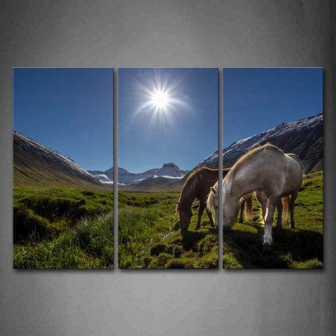 Two Hrse Eating Grass On Lawn Mountain Bright Sun Wall Art Painting The Picture Print On Canvas Animal Pictures For Home Decor Decoration Gift 