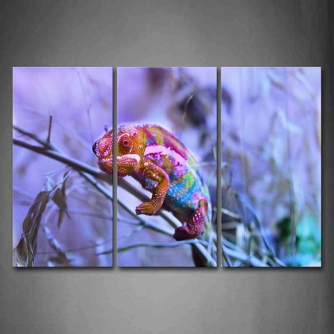 Colorful Chameleon Crawl On Branch Wall Art Painting Pictures Print On Canvas Animal The Picture For Home Modern Decoration 