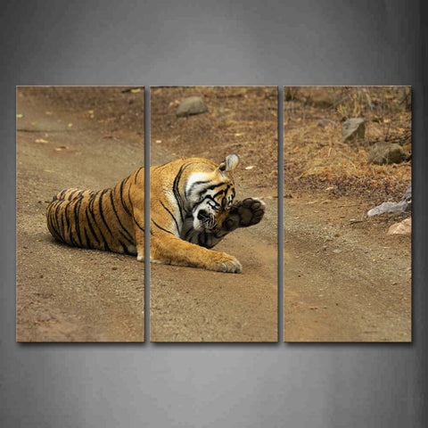 Tiger Sit On Mud Road Wall Art Painting The Picture Print On Canvas Animal Pictures For Home Decor Decoration Gift 