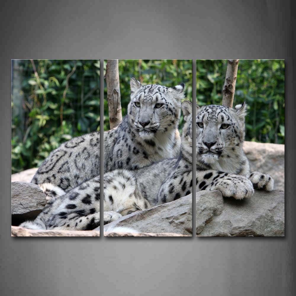 Two Snow Leopard Lie On Rock Near Trees Wall Art Painting Pictures Print On Canvas Animal The Picture For Home Modern Decoration 