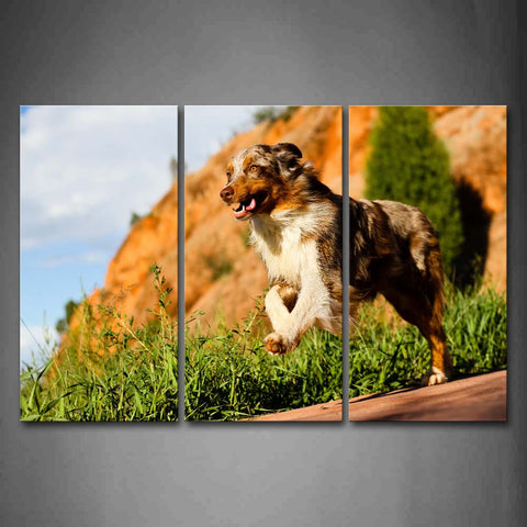 Dog Jump Over Road Grass Hill Wall Art Painting The Picture Print On Canvas Animal Pictures For Home Decor Decoration Gift 