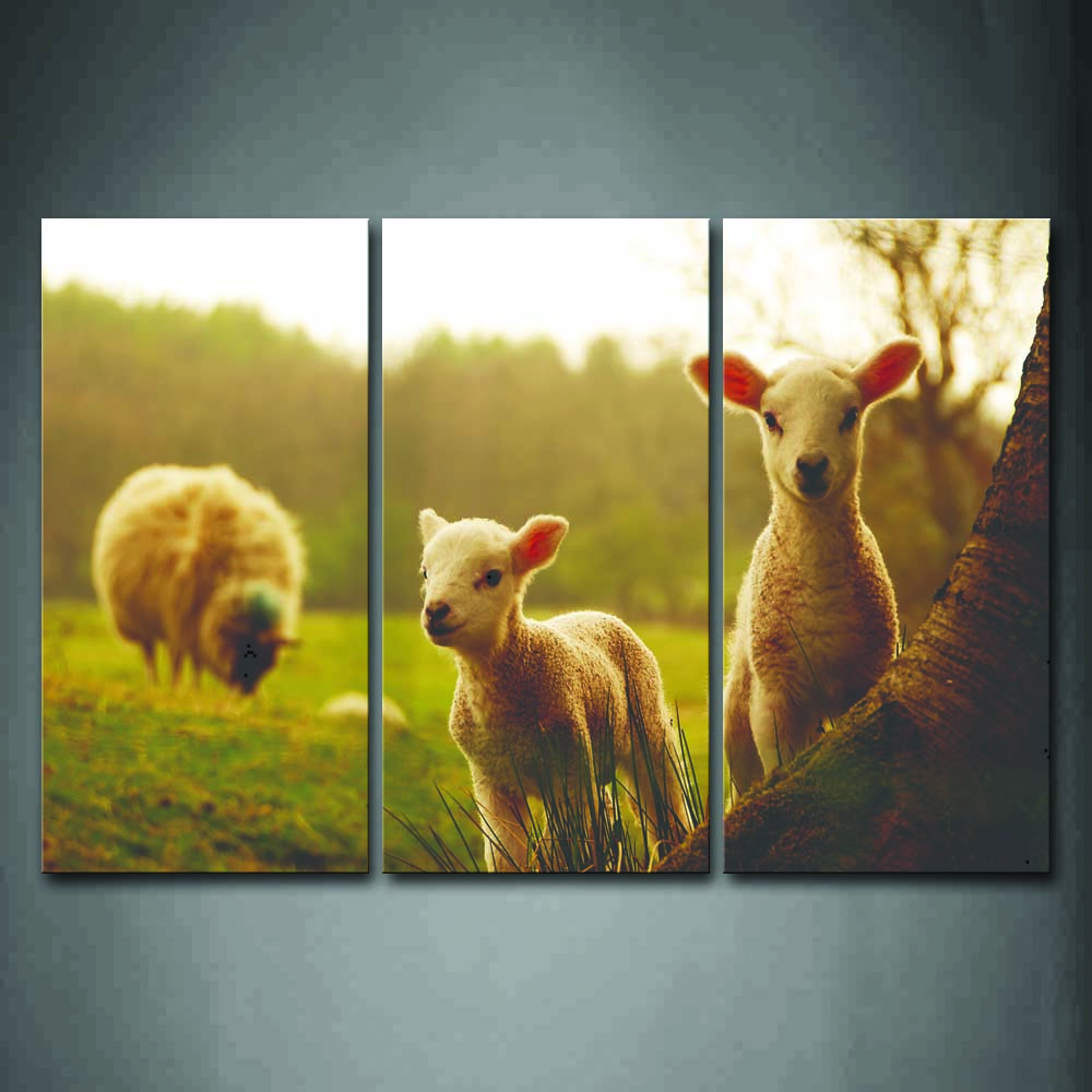 Two Young Sheeps Stand Under Tree And A Big Sheep Eating Grass Wall Art Painting The Picture Print On Canvas Animal Pictures For Home Decor Decoration Gift 