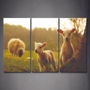 Two Young Sheeps Stand Under Tree And A Big Sheep Eating Grass Wall Art Painting The Picture Print On Canvas Animal Pictures For Home Decor Decoration Gift 