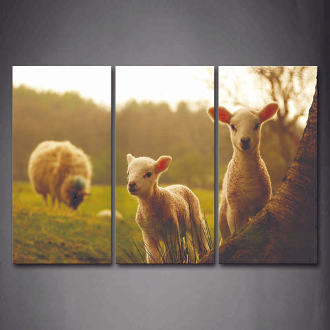 Two Young Sheeps Stand Under Tree And A Big Sheep Eating Grass Wall Art Painting The Picture Print On Canvas Animal Pictures For Home Decor Decoration Gift 