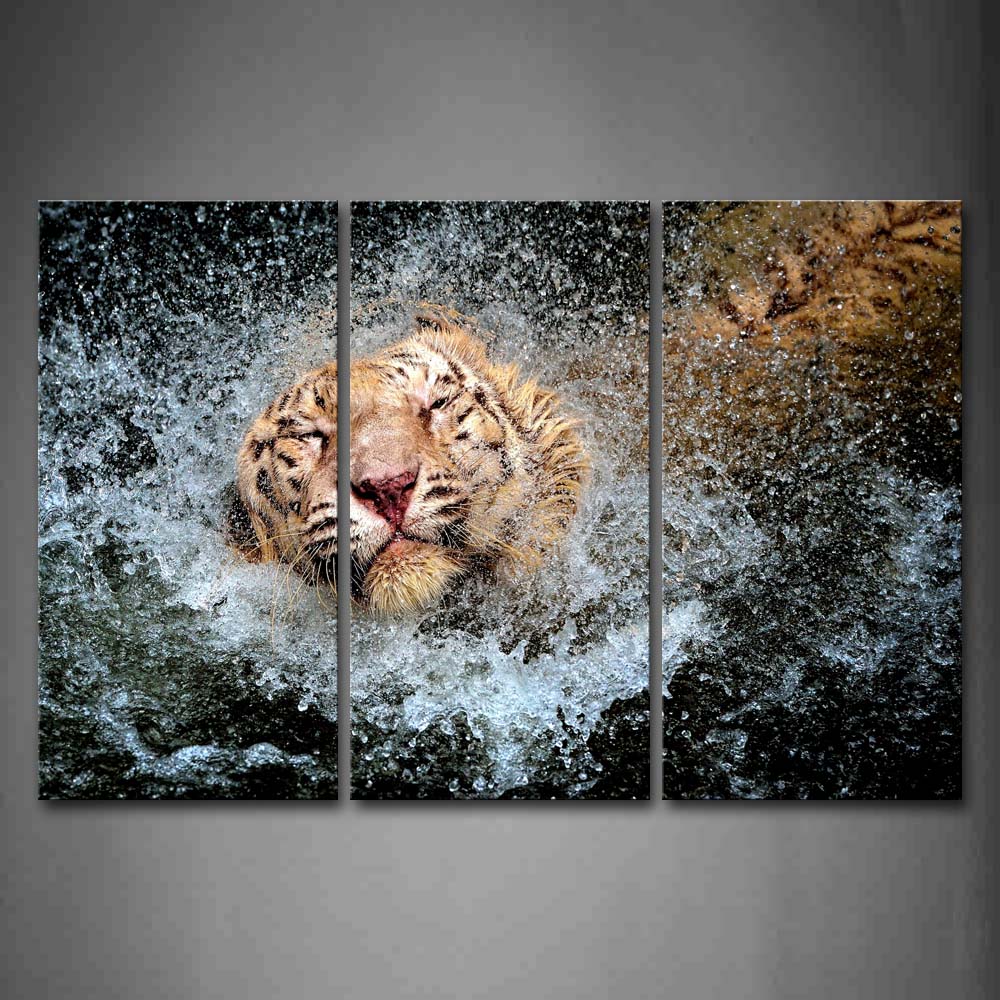 White Tiger In Water And Throw Away Water Wall Art Painting Pictures Print On Canvas Animal The Picture For Home Modern Decoration 