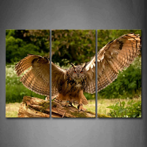 Owl Stand On Dry Wood And Open Wing Wall Art Painting Pictures Print On Canvas Animal The Picture For Home Modern Decoration 