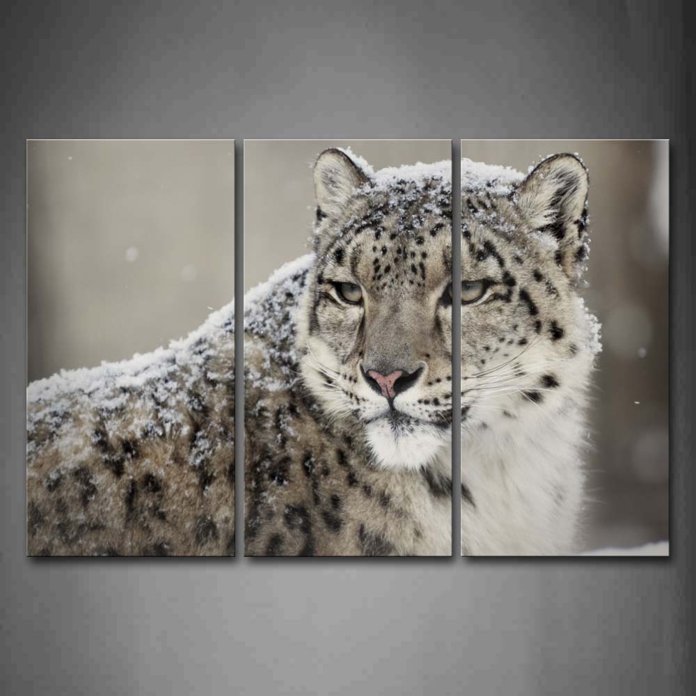 Snow Leopard Look Back Snow Wall Art Painting The Picture Print On Canvas Animal Pictures For Home Decor Decoration Gift 