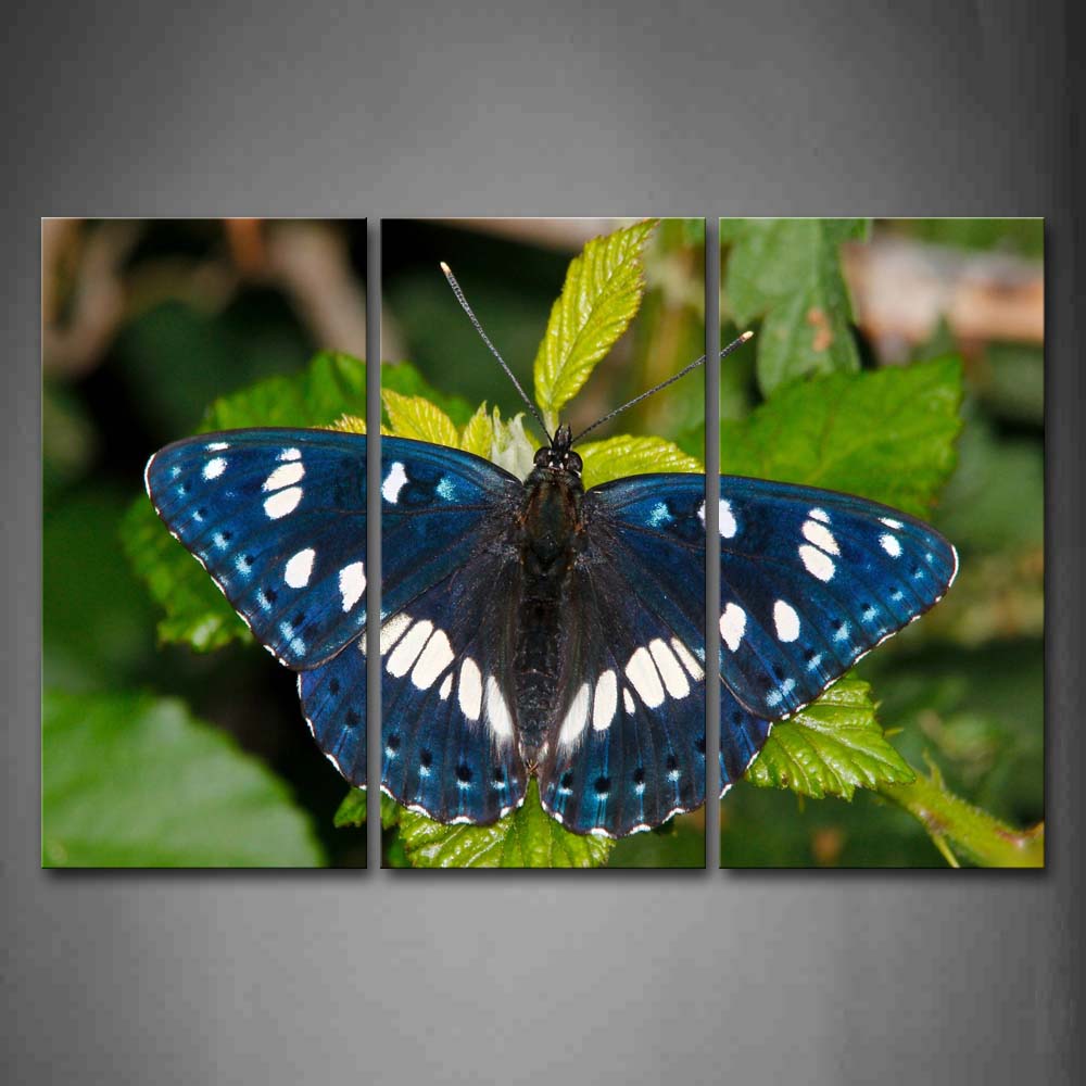 Blue Butterfly Stop On Green Leaf Wall Art Painting The Picture Print On Canvas Animal Pictures For Home Decor Decoration Gift 