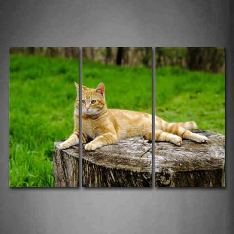 Yellow Cat Stand On Wood Lawn Wall Art Painting The Picture Print On Canvas Animal Pictures For Home Decor Decoration Gift 