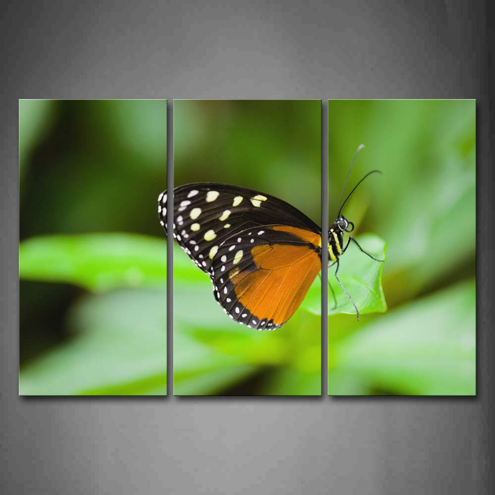 Black And Yellow Betterfly Stop On Leaf Wall Art Painting The Picture Print On Canvas Animal Pictures For Home Decor Decoration Gift 