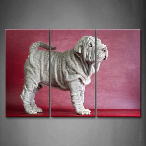 Red White Shar Pei In Pink Background Wall Art Painting Pictures Print On Canvas Animal The Picture For Home Modern Decoration 