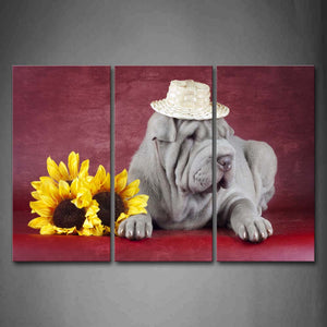 Red White Shar Pei Wear Cap With Yellow Flower In Pink Background Wall Art Painting The Picture Print On Canvas Animal Pictures For Home Decor Decoration Gift 