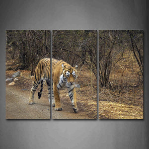 Tiger Walk On Mud Path Tree Wall Art Painting Pictures Print On Canvas Animal The Picture For Home Modern Decoration 