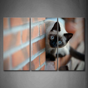 White And Black Cat Sit On Sill Wall Art Painting The Picture Print On Canvas Animal Pictures For Home Decor Decoration Gift 