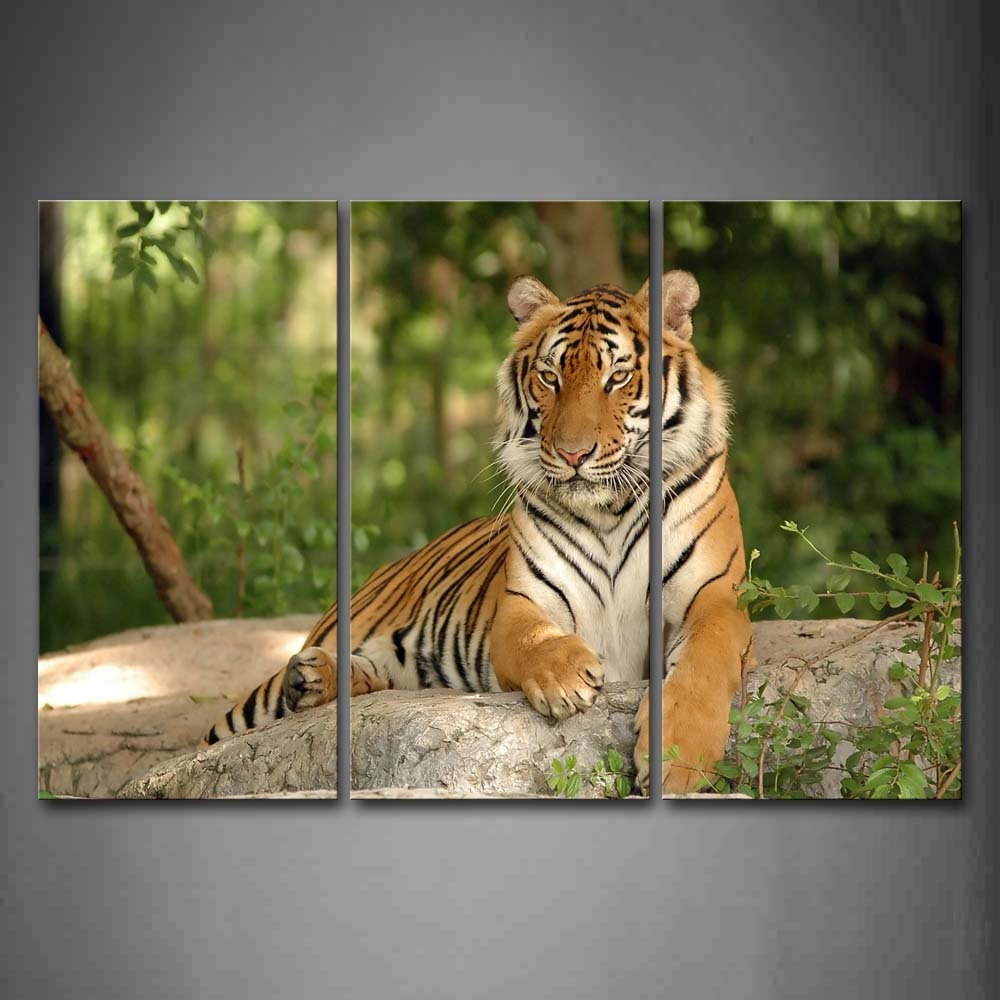 Tiger Sit On Rock In Forest Wall Art Painting Pictures Print On Canvas Animal The Picture For Home Modern Decoration 