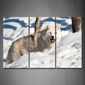 Wolf Stop On Snowfield Tree Wall Art Painting The Picture Print On Canvas Animal Pictures For Home Decor Decoration Gift 