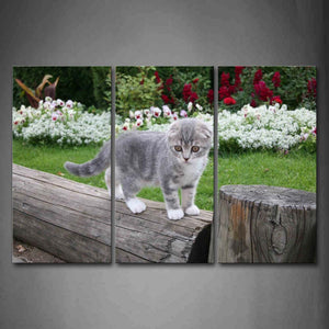 Gray Cat Stand On Wood Flower Wall Art Painting The Picture Print On Canvas Animal Pictures For Home Decor Decoration Gift 