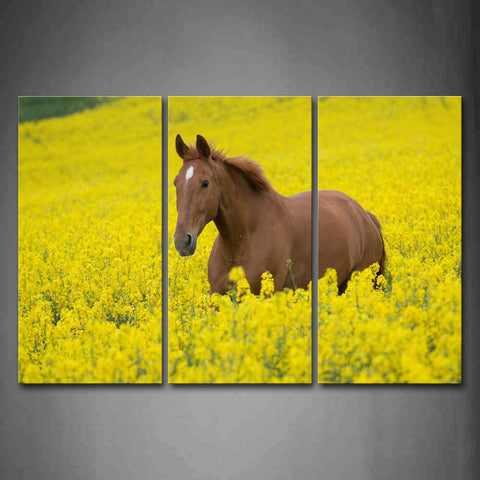 Yellow Horse Walk Through Yellow Flower Wall Art Painting Pictures Print On Canvas Animal The Picture For Home Modern Decoration 