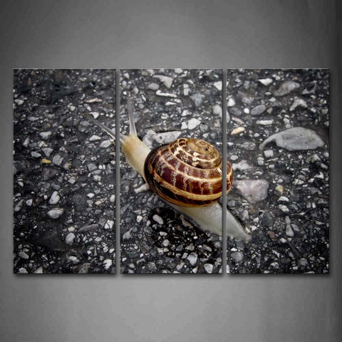 Snail Crawl On Land Wall Art Painting The Picture Print On Canvas Animal Pictures For Home Decor Decoration Gift 