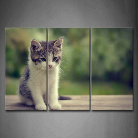 Cat Sit On Wood Wall Art Painting The Picture Print On Canvas Animal Pictures For Home Decor Decoration Gift 