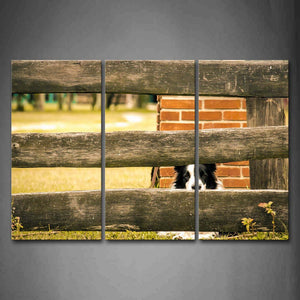 Border Collie Sit Behind Wood Fence Wall Wall Art Painting Pictures Print On Canvas Animal The Picture For Home Modern Decoration 