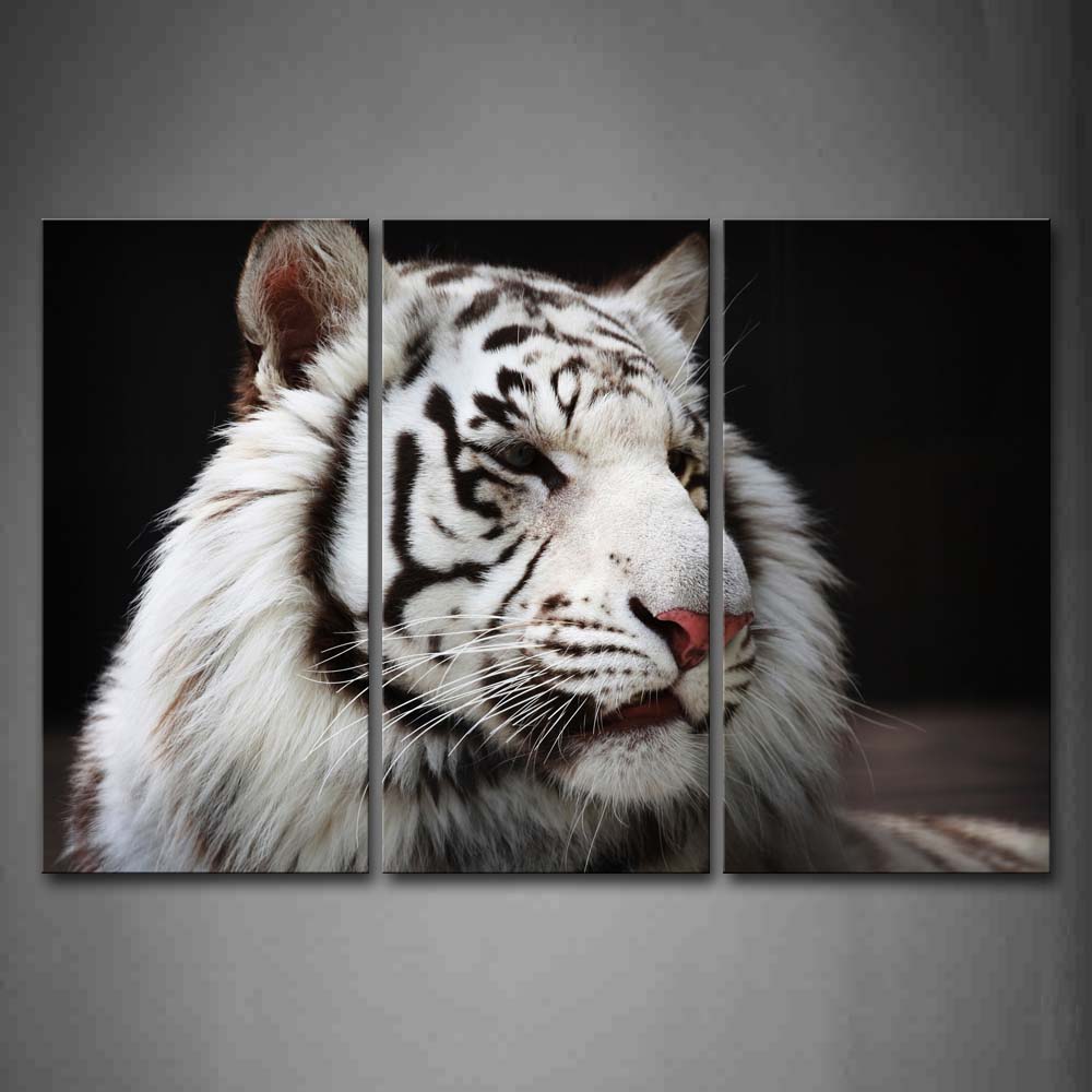 White Tiger  Black Background Wall Art Painting Pictures Print On Canvas Animal The Picture For Home Modern Decoration 