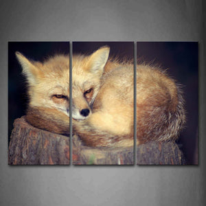 A Brown Fox Sleep On Wood Wall Art Painting Pictures Print On Canvas Animal The Picture For Home Modern Decoration 
