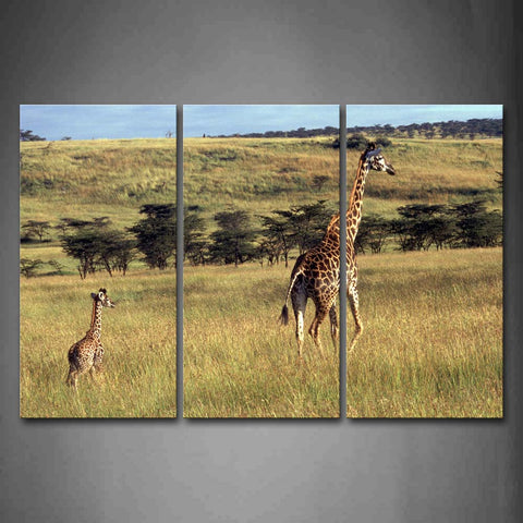 Mother Giraffe And Cub Walk In Grass Trees Wall Art Painting Pictures Print On Canvas Animal The Picture For Home Modern Decoration 