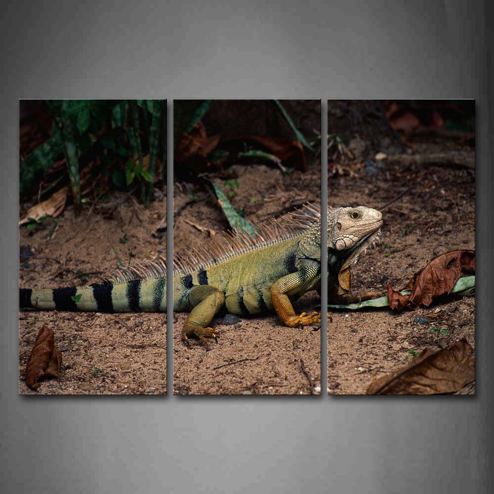 Iguana Staring On Mud Land Dry Leafs Wall Art Painting The Picture Print On Canvas Animal Pictures For Home Decor Decoration Gift 