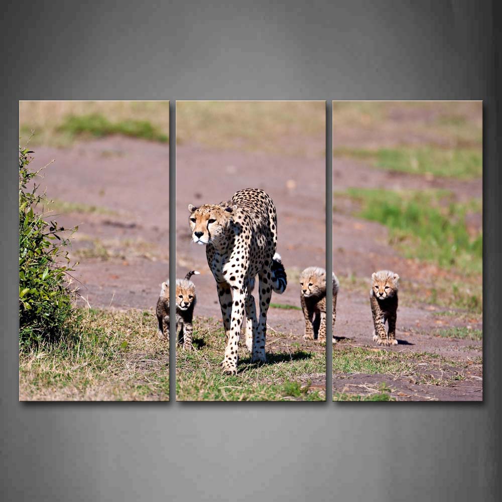 Mother Cheetah And Cubs Walk On Land Grass Wall Art Painting Pictures Print On Canvas Animal The Picture For Home Modern Decoration 