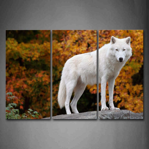 White Wolf Stand On Rock Maple  Wall Art Painting The Picture Print On Canvas Animal Pictures For Home Decor Decoration Gift 