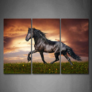 Brown Horse Run On Grassland Flower Wall Art Painting Pictures Print On Canvas Animal The Picture For Home Modern Decoration 