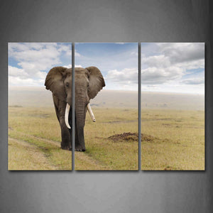 Elephant Walk On Grass Path Cloud Wall Art Painting The Picture Print On Canvas Animal Pictures For Home Decor Decoration Gift 