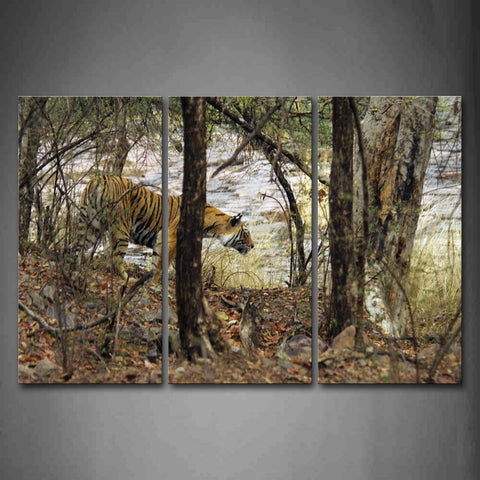 Tiger Walk In Forest  Wall Art Painting Pictures Print On Canvas Animal The Picture For Home Modern Decoration 