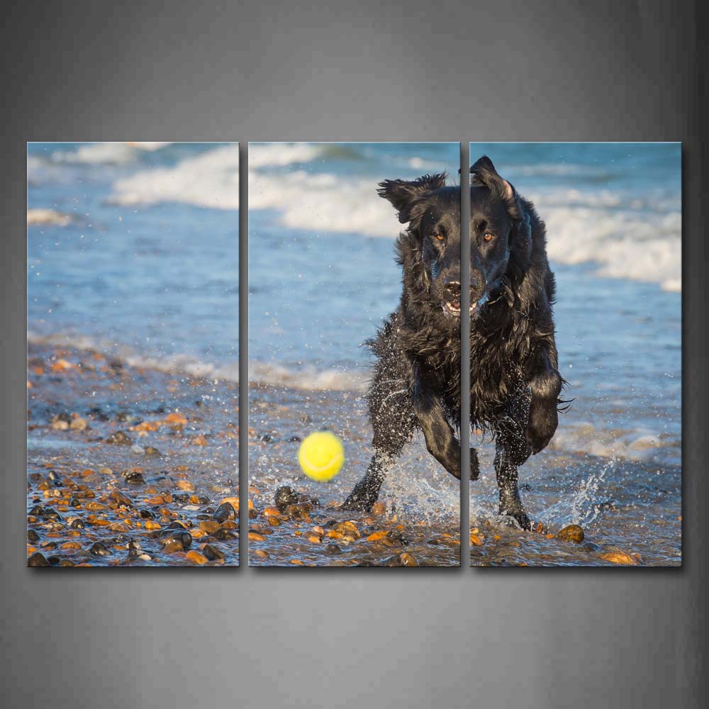 Black Dog Play With A Ball On Beach Wall Art Painting Pictures Print On Canvas Animal The Picture For Home Modern Decoration 