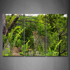 Leopard Stand In Bush  Green Wall Art Painting The Picture Print On Canvas Animal Pictures For Home Decor Decoration Gift 