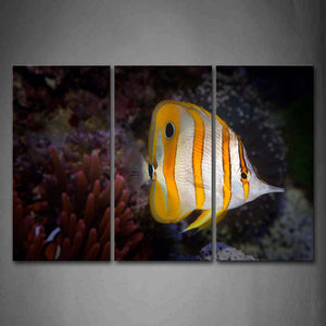 Beautiful Fish Swinmming In Bottom Of Sea Wall Art Painting Pictures Print On Canvas Animal The Picture For Home Modern Decoration 