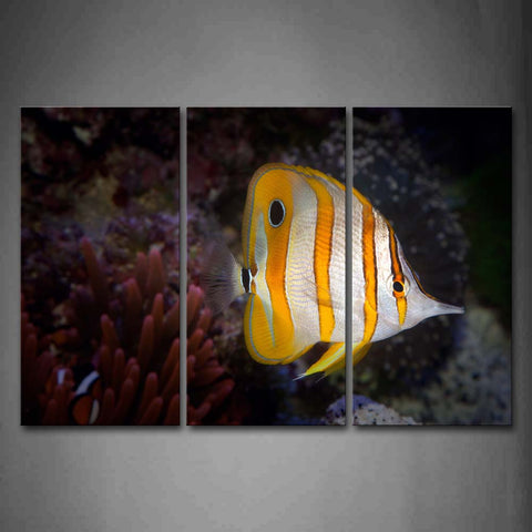 Beautiful Fish Swinmming In Bottom Of Sea Wall Art Painting Pictures Print On Canvas Animal The Picture For Home Modern Decoration 