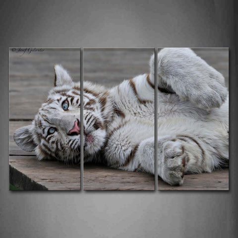 White Tiger Play On Wood Wall Art Painting Pictures Print On Canvas Animal The Picture For Home Modern Decoration 