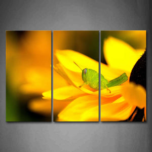 Grasshopper Crawl On Yellow Flower Wall Art Painting The Picture Print On Canvas Animal Pictures For Home Decor Decoration Gift 