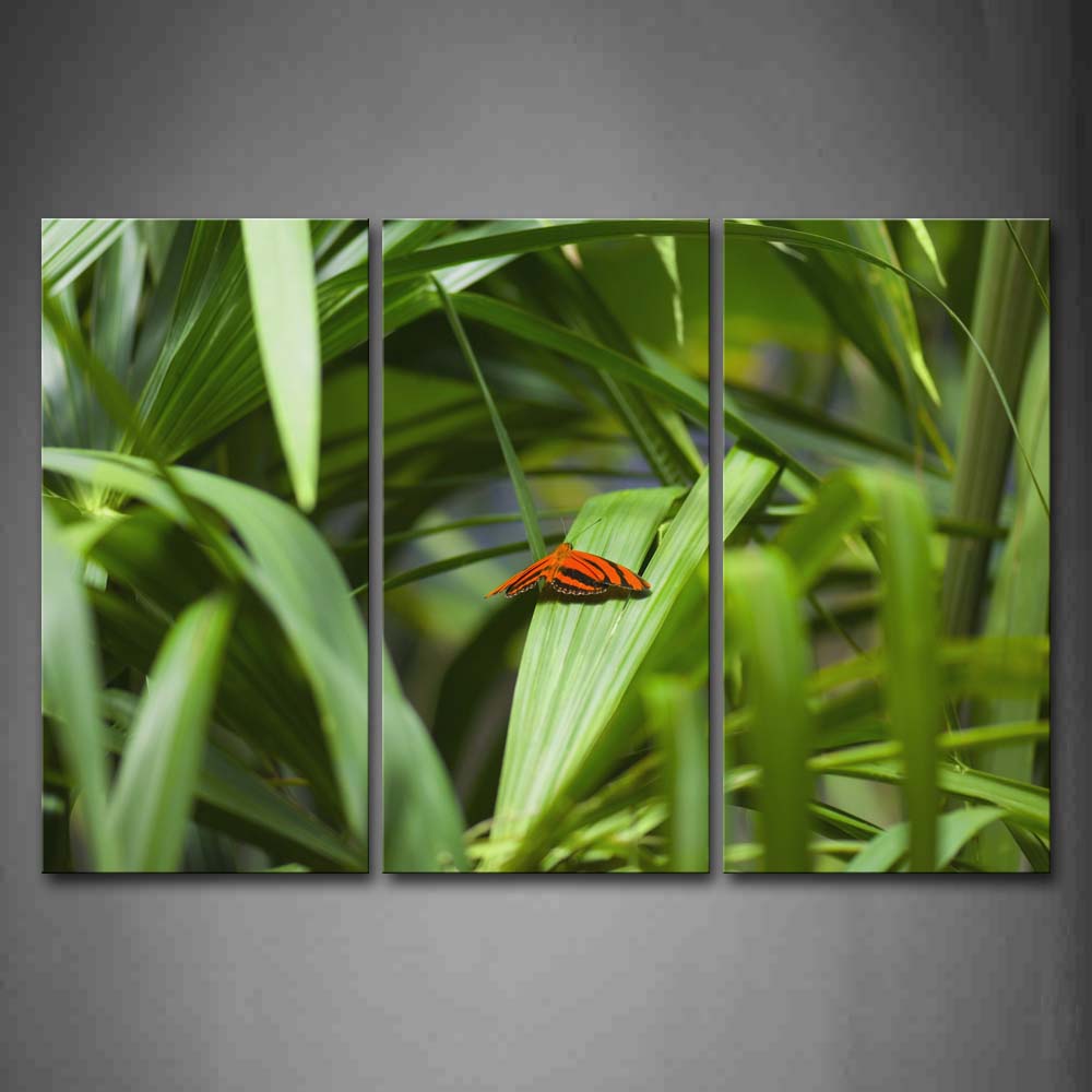 Butterfly Stop On Grass Wall Art Painting The Picture Print On Canvas Animal Pictures For Home Decor Decoration Gift 