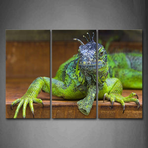 Green And Gray Iguana Crawl  Wall Art Painting The Picture Print On Canvas Animal Pictures For Home Decor Decoration Gift 