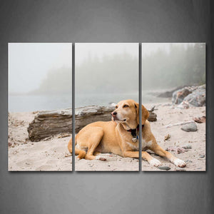 Yellow Dog Bend Over Sand Land Near Lake Wall Art Painting The Picture Print On Canvas Animal Pictures For Home Decor Decoration Gift 