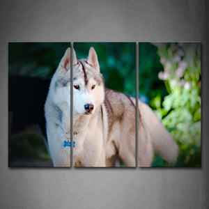 Dog Stand Plant  Wall Art Painting Pictures Print On Canvas Animal The Picture For Home Modern Decoration 