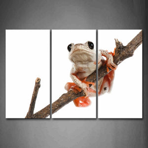 Tree Frog Climb On Dry Branch Wall Art Painting The Picture Print On Canvas Animal Pictures For Home Decor Decoration Gift 